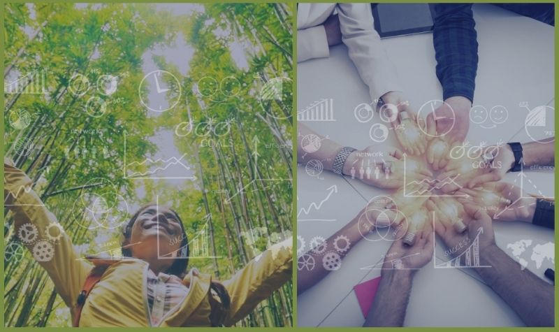Sustainable image
